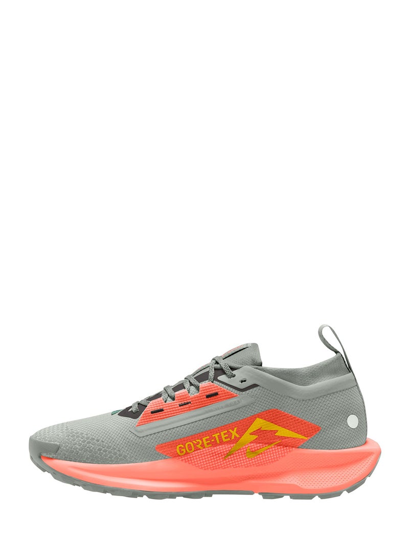 Nike - Reactx Pegasus Trail 5 Gtx - Image 1