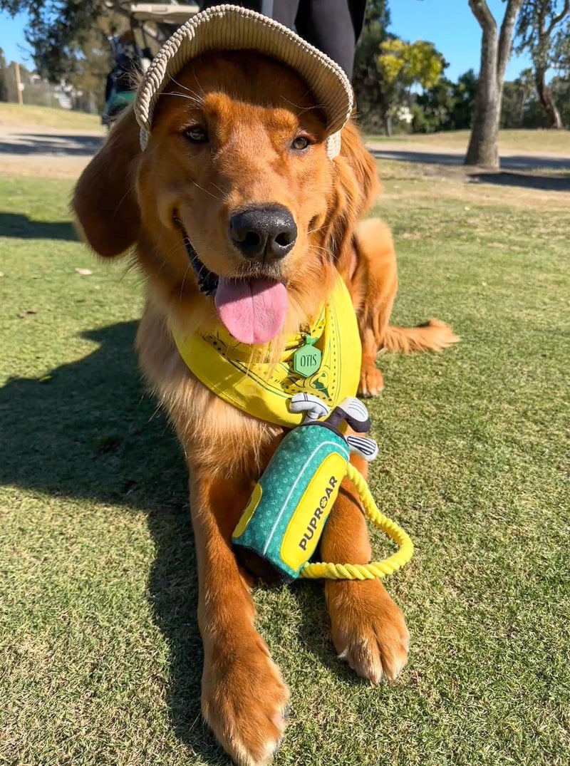 PUPROAR Golf Dog Toy â€“ Dog Birthday Gift with Squeaker Rope & Crinkle, Fun & Interactive Puppy Birthday Toy & Funny Valentines Day Puppy Gift - Image 4