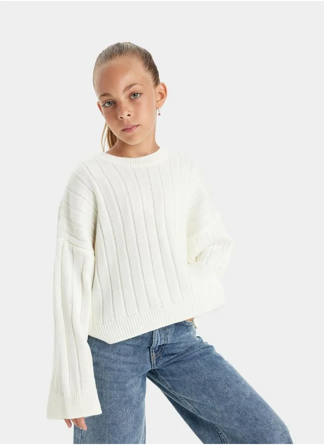 ديفاكتو Textured Oversized Round Neck Knit Sweater by Styli