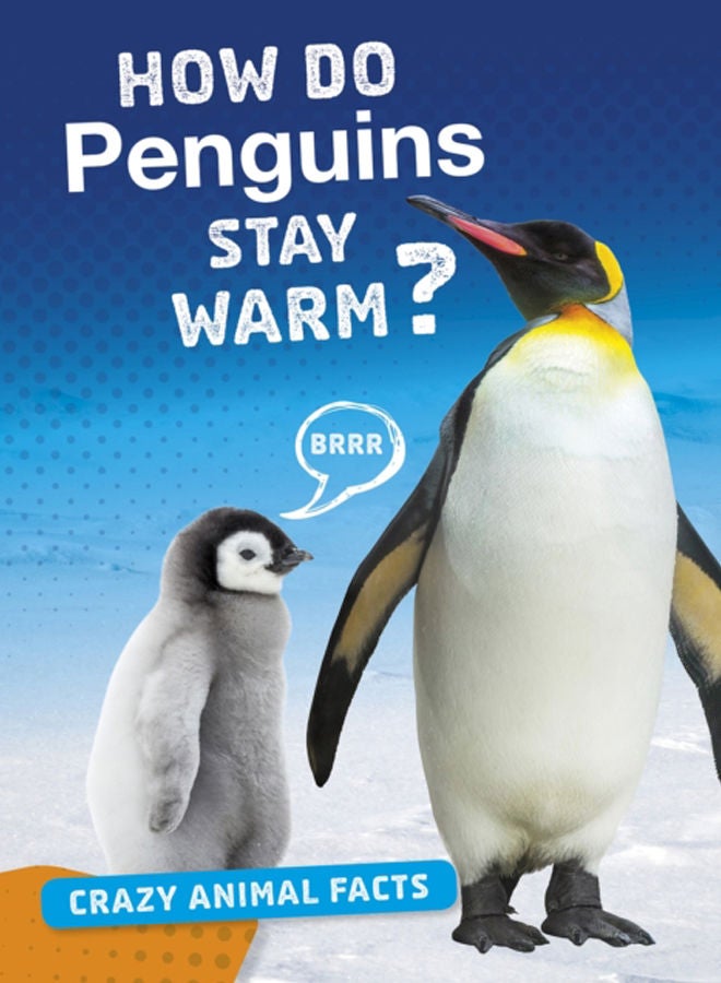 How Do Penguins Stay Warm? 