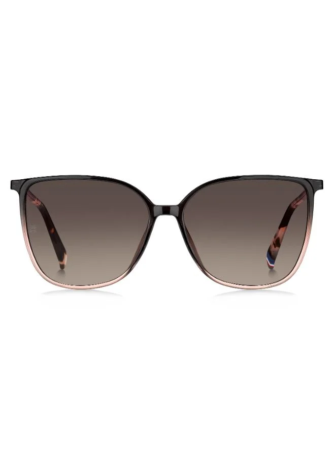 Wayfarers Sunglasses
