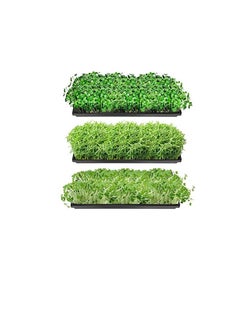 Generic Microgreenae 5 Packs of Trays 10 x 20 Inches Propagation Starter Seedling Tray 1020 Plant Growing Trays Without Drain Holes for Plant Germination Microgreens Hydroponic Application, No Holes  - Image 3