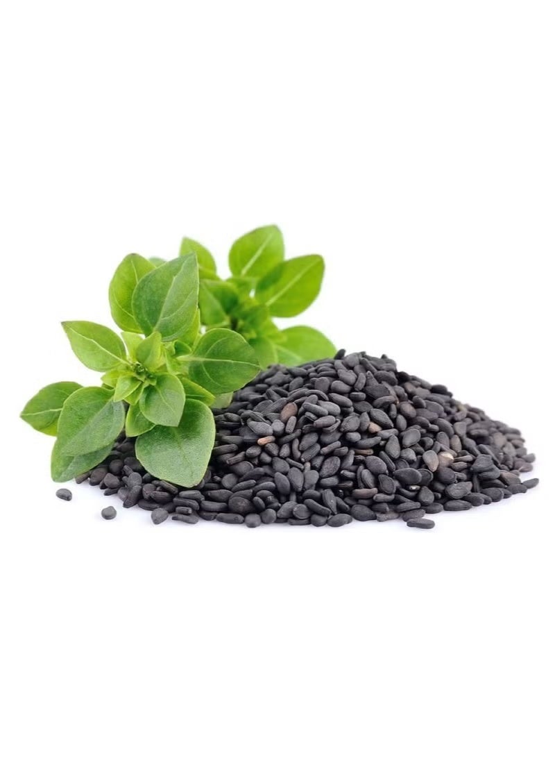 Makati Basil Seeds 250 grams - Image 1