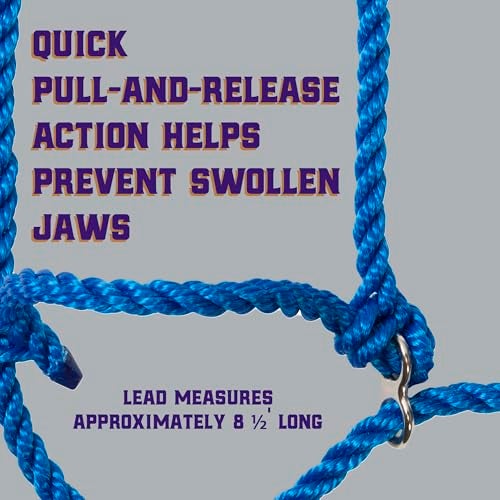 Weaver Livestock Poly Rope Breaking Cattle Halter, Adjustable, Modern Style Cow Calf Halter, Livestock Handling Equipment for Showing, Blue - Image 3