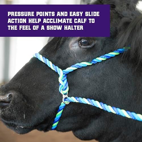 Weaver Livestock Poly Rope Breaking Cattle Halter, Adjustable, Modern Style Cow Calf Halter, Livestock Handling Equipment for Showing, Blue - Image 4