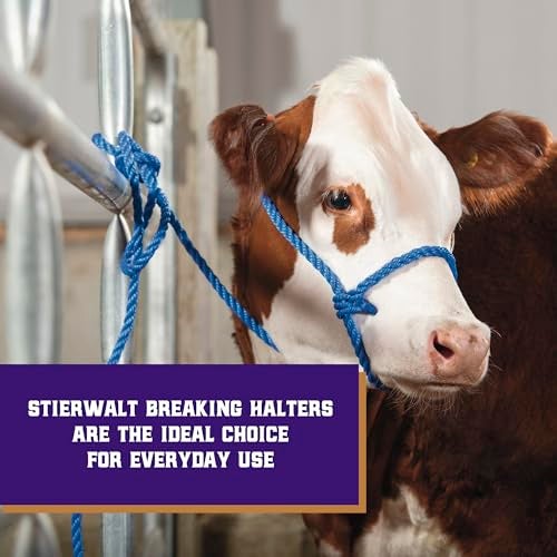Weaver Livestock Poly Rope Breaking Cattle Halter, Adjustable, Modern Style Cow Calf Halter, Livestock Handling Equipment for Showing, Blue - Image 2