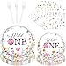 Rakuto Wildflower 1st Birthday Decorations Supplies 96PCS Flower Wildflower One Paper Plates Napkins Disposable Floral Paety Tableware for Girls Serves 24 - Image 2