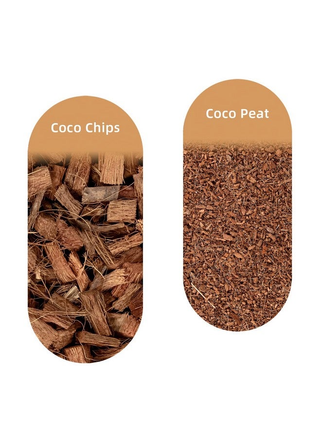 نيتينجيل فرشة نايت أنجل الطبيعية من جوز الهند/الفلين للهامستر السوري القزم، والجربوع، والفئران، والديجوس، أو غيرها من الحيوانات الصغيرة - Image 5