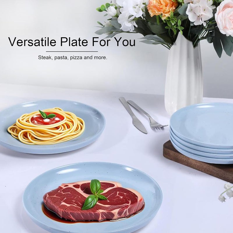Webbylee 1025 Melamine Dinner Plates Set of 6  Durable Serving Dishes Perfect for Kitchen Outdoor Use Dishwasher SafeScratch ResistantBlue  Beige - Image 5