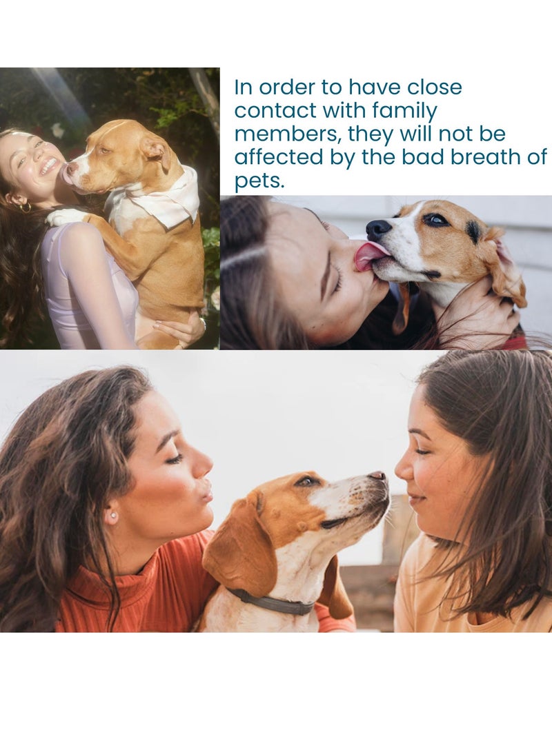 YEGBONG mouth wash for pets ,Pet teeth cleaning spray to remove oral odor and yellow teeth for cat and dog oral cleaning - Image 2