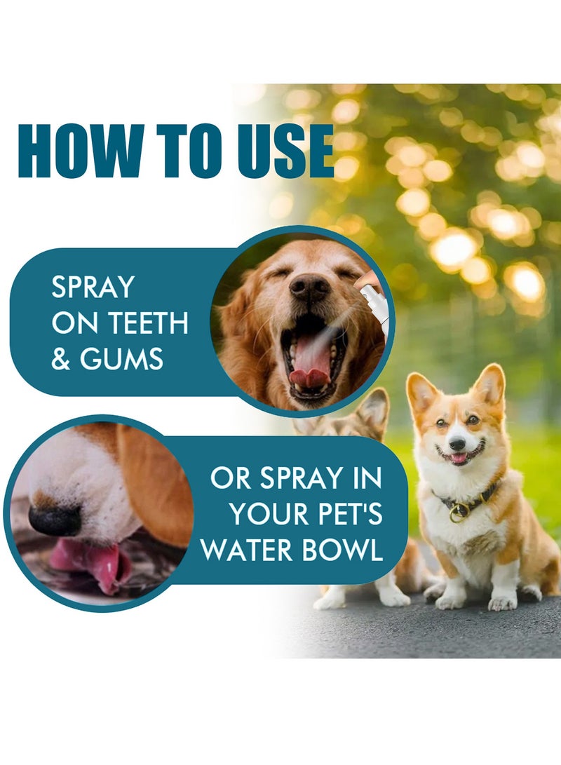 YEGBONG mouth wash for pets ,Pet teeth cleaning spray to remove oral odor and yellow teeth for cat and dog oral cleaning - Image 3