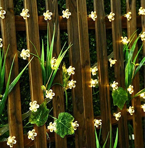 VELOCIOUS Velocious 16 LED Blossom Flower Fairy String Lights 3 Meters LED Christmas Lights for Diwali Home Decoration  - Image 5
