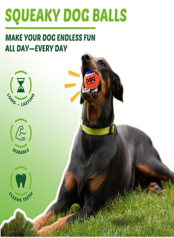 INSUM Squeaky Balls for Dogs, Squeaky Dog Toys Balls for Fetch, Funny Puppy Chew Toys, Built-in Squeaker, Idea for Doggie Birthday Gift, Large - 12 Pack - Image 4