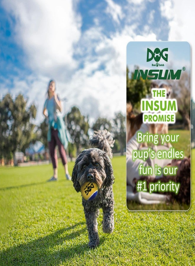 INSUM Squeaky Balls for Dogs, Squeaky Dog Toys Balls for Fetch, Funny Puppy Chew Toys, Built-in Squeaker, Idea for Doggie Birthday Gift, Large - 12 Pack - Image 5