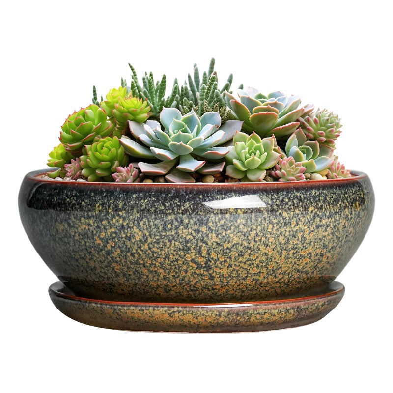 SQOWL Succulent Pots - 8 Inch Ceramic Bonsai Pots, Round Shallow Planter with Drainage Hole and Saucer, Succulent Indoor Planter, Bowl Planters Outdoor, Apartment Decor, Gifts for Women, Brown - Image 1