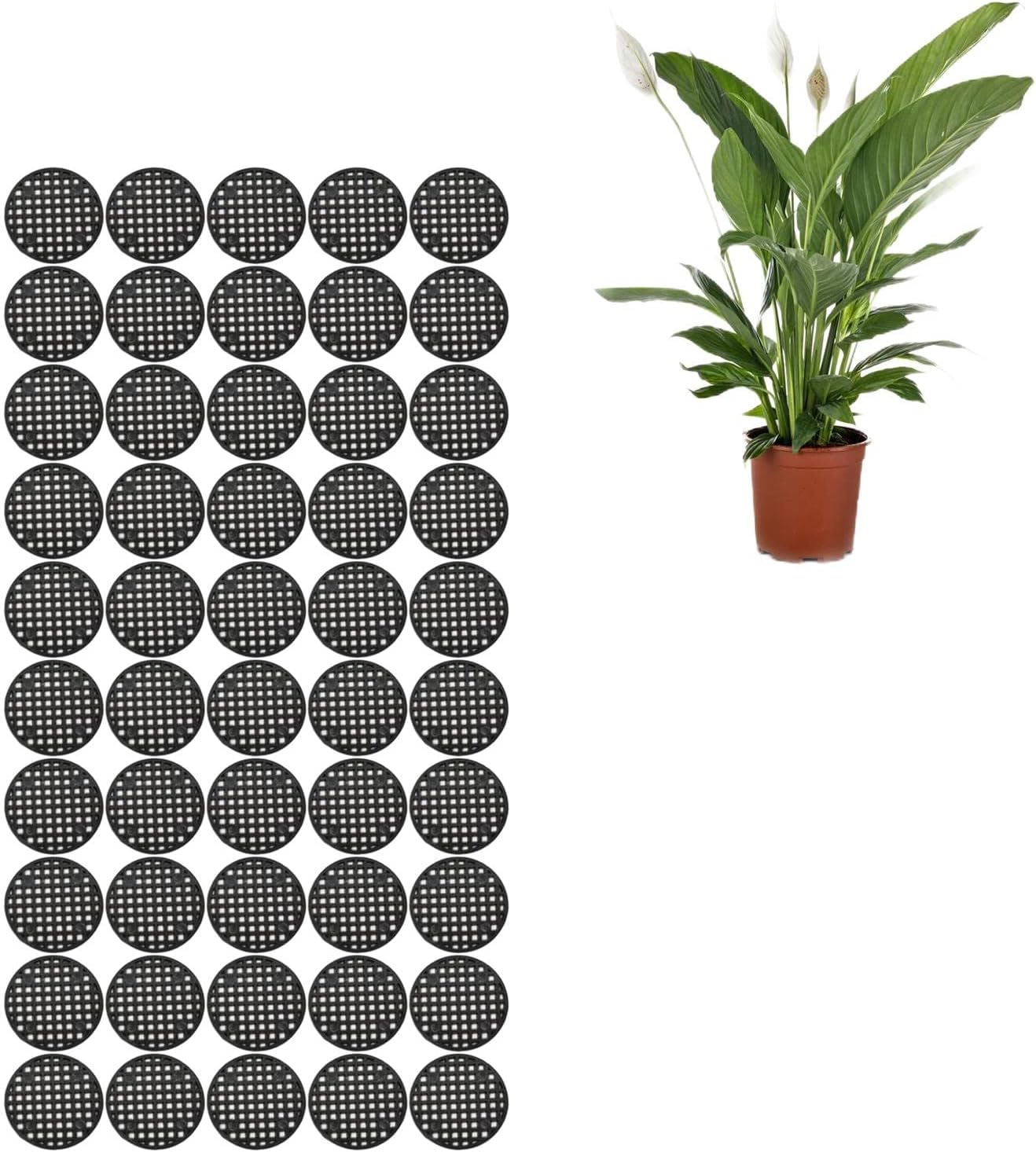 Flower Pot Hole Mesh Pad | Round Drainage Hole Screens Prevent Soil Loss - 50pcs Garden Plant Pot Grid Mesh Liner Gardening Tools Prevent Soil Loss