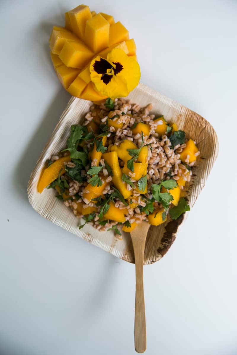 PacknWood طبق مربع من ورق النخيل بزوايا مدورة (حزمة من 100) ، PacknWood - أطباق خشبية قابلة للتحلل وصديقة للبيئة (6" × 6" × 0.8") 210BBA1717 - Image 3