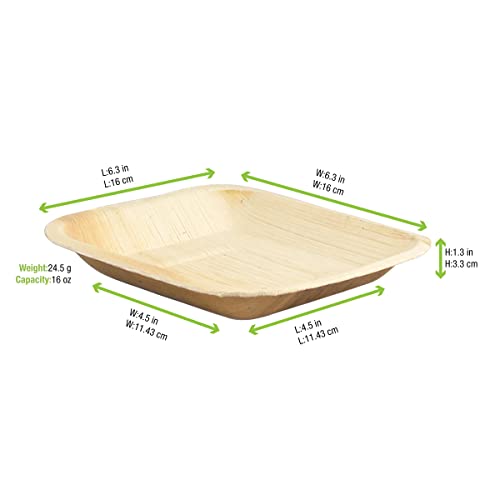 PacknWood طبق مربع من ورق النخيل بزوايا مدورة (حزمة من 100) ، PacknWood - أطباق خشبية قابلة للتحلل وصديقة للبيئة (6" × 6" × 0.8") 210BBA1717 - Image 5