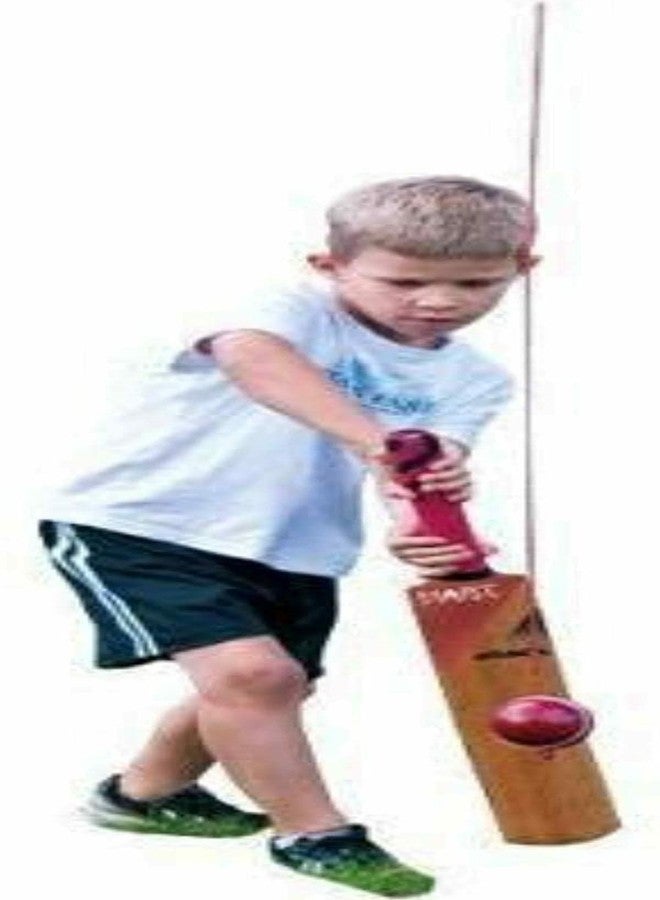 S4C Synthetic Cricket Ball Match Practice/Hanging/Knocking/Stroke Season Ball with Nylon Rope - Image 2