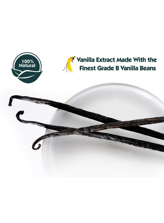 Native Vanilla 16 oz Pure Vanilla Extract - 100% Real Vanilla Extract - For Cooking, Drinks & Desserts - 100% Vegan, Sugar Free & Kosher - Non-GMO & Gluten-Free - Native Vanilla - Image 3
