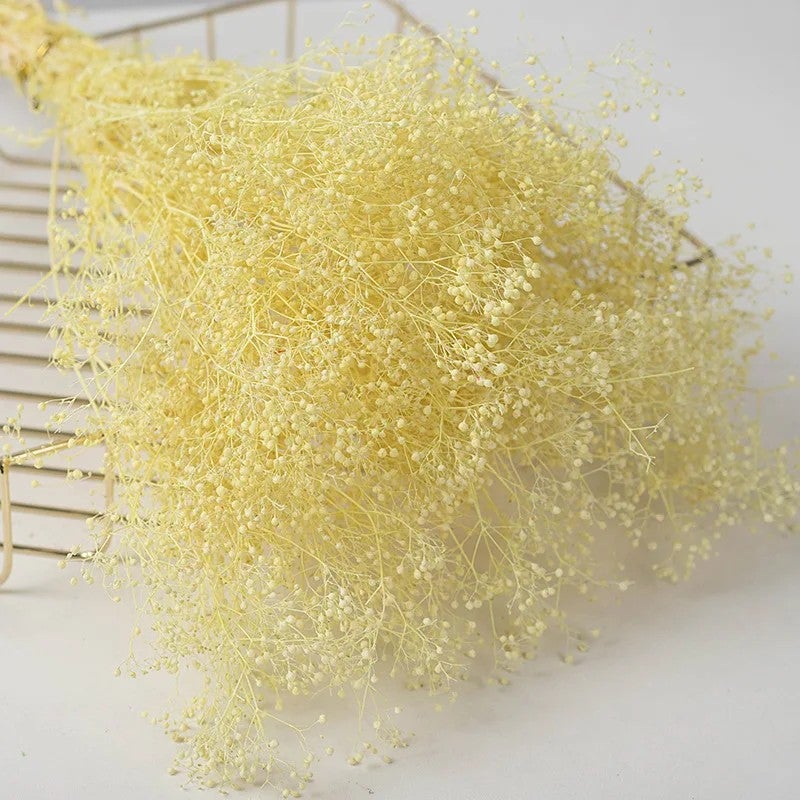 Y&D L060389 Dried Babys Breath Bouquet - Real Dried Flowers, Preserved Gypsophila for Wedding Home Party Decorations & Dried Plants - Image 5