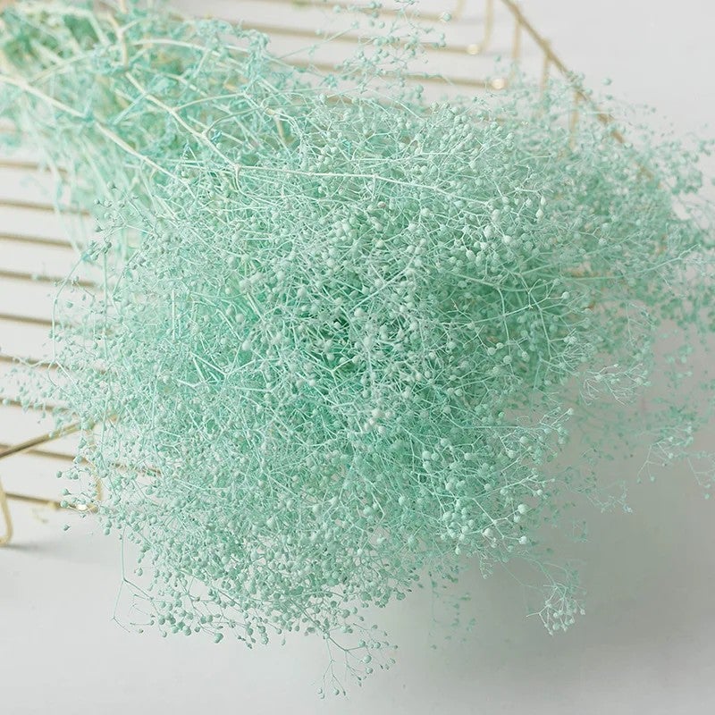 Y&D L060389 Dried Babys Breath Bouquet - Real Dried Flowers, Preserved Gypsophila for Wedding Home Party Decorations & Dried Plants - Image 4
