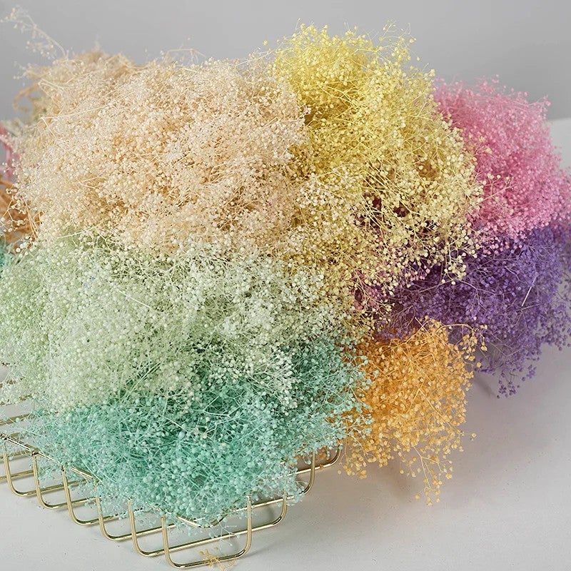 Y&D L060389 Dried Babys Breath Bouquet - Real Dried Flowers, Preserved Gypsophila for Wedding Home Party Decorations & Dried Plants - Image 1