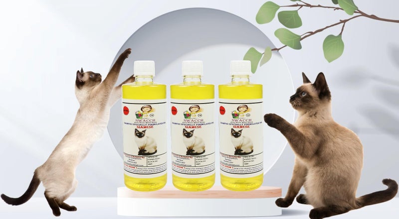 SWACCH Shampoo Specially Formulated for Siamese (500ML) (Pack of 3) Lemon - Image 2