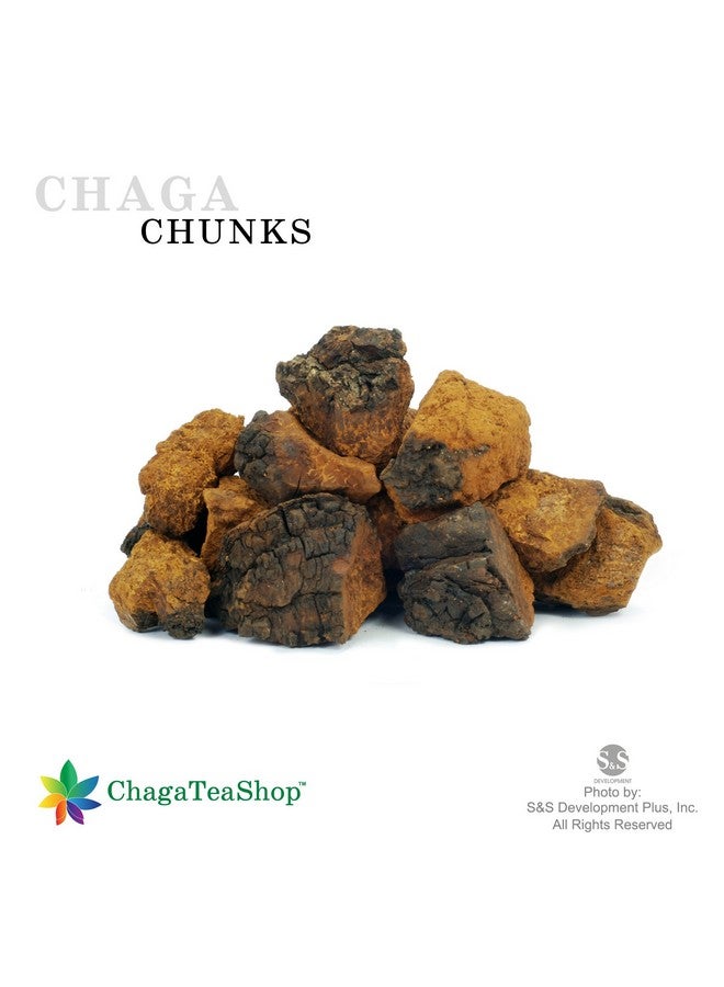 ChagaTeaShop قطع فطر تشاجا السيبيري المحصودة من البرية 3 أوقية (85 جرام) - Image 3