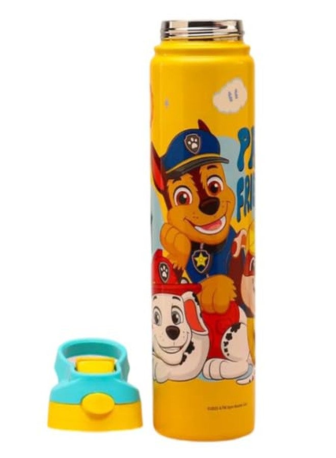 STRIDERS Paw Patrol Sipper Water Bottle |Girls &Boys | Double Wall Insulated Stainless Steel Bottle | Up to 24Hrs Hot & Cold | BPA-Free Push Button Lid |for College, School, Office, Gym, Sports –Yellow 750ml - Image 2