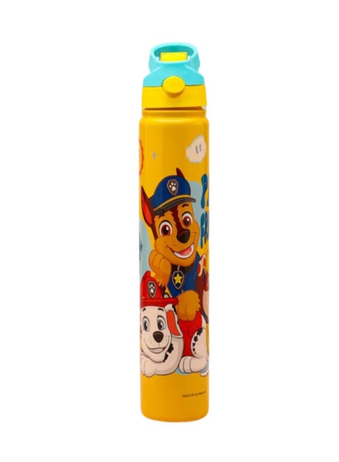 STRIDERS Paw Patrol Sipper Water Bottle |Girls &Boys | Double Wall Insulated Stainless Steel Bottle | Up to 24Hrs Hot & Cold | BPA-Free Push Button Lid |for College, School, Office, Gym, Sports –Yellow 750ml - Image 4