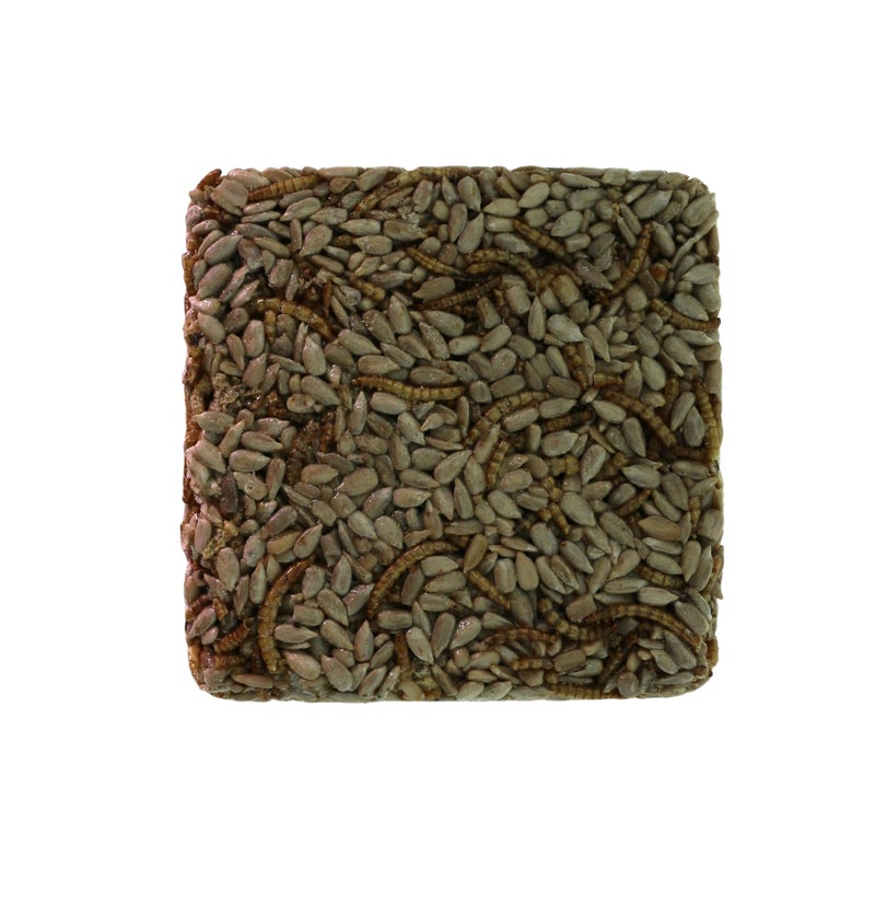 BIRDADDY Wild Bird Mealworms & Sunflower Seeds Suet Cakes, High Protein Feed, Pack of 6, Size 4.5"x4.5"x1.0" Poultry Feed, Cattle Feed (4.5"x4.5"x1.0", Mealworms & Sunflower Seeds) - Image 1
