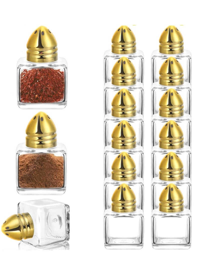 TYCOM Castor Salt and Pepper Shakers 24 packs Pocket Condiment Bottle Individual Seasonings Shakers Salt Container Holder Seasoning Holders Glass Pepper Jar Spice Jars Golden lids - Image 1