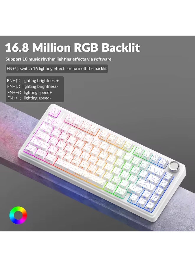 AULA F75 Pro 75% Wireless Mechanical Keyboard,Gasket Hot Swappable Custom Keyboard, Pre-lubed Seiya Switches RGB Backlit Gaming Keyboard,2.4GHz/Type-C/BT5.0 Mechanical Keyboard - Image 5