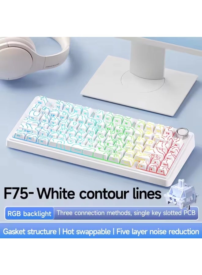 AULA F75 Pro 75% Wireless Mechanical Keyboard,Gasket Hot Swappable Custom Keyboard, Pre-lubed Seiya Switches RGB Backlit Gaming Keyboard,2.4GHz/Type-C/BT5.0 Mechanical Keyboard - Image 2