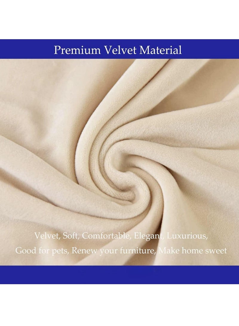 Bluejw 4-Piece Solid Velvet Colour Chair Cover Beige  - Image 2
