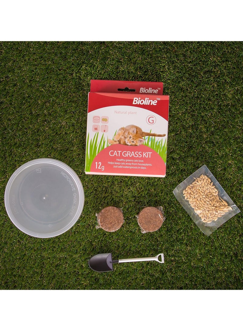 بايولاين مجموعة عشب القطط من بيولاين 12 جرام (عبوة من قطعتين) - Image 3