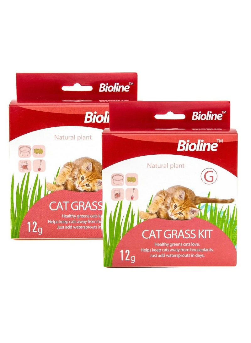 بايولاين مجموعة عشب القطط من بيولاين 12 جرام (عبوة من قطعتين) - Image 1