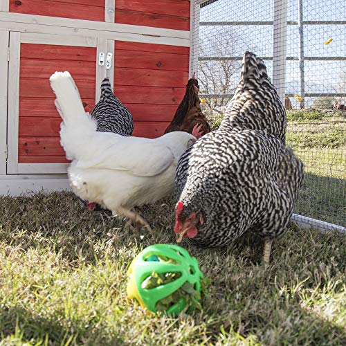 Ware Manufacturing Peck N Play Chicken Ball Toy (3 Balls) - Image 3