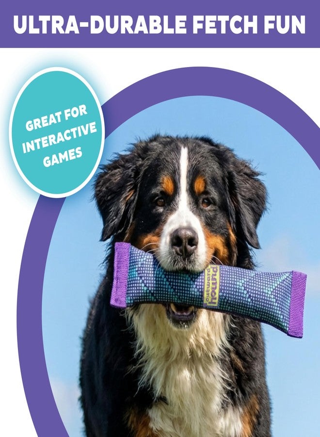 Outward Hound FlyFetch Firehose Fetch Ultra-Durable Dog Toy with Squeaker, Floats in Water, All Breeds, 16" - Image 2