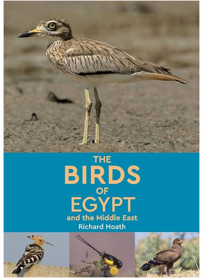 Birds of Egypt and the Middle East - pzsku/Z94C2B6587D7CE9242251Z/45/_/1711374978/52407a75-48c5-4642-9d07-2588cf4f404c