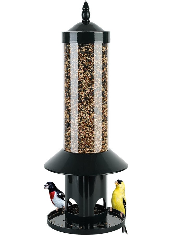 Dreamdrawer Squirrel-Proof Bird Feeder for Outdoor Wild Bird - Image 1