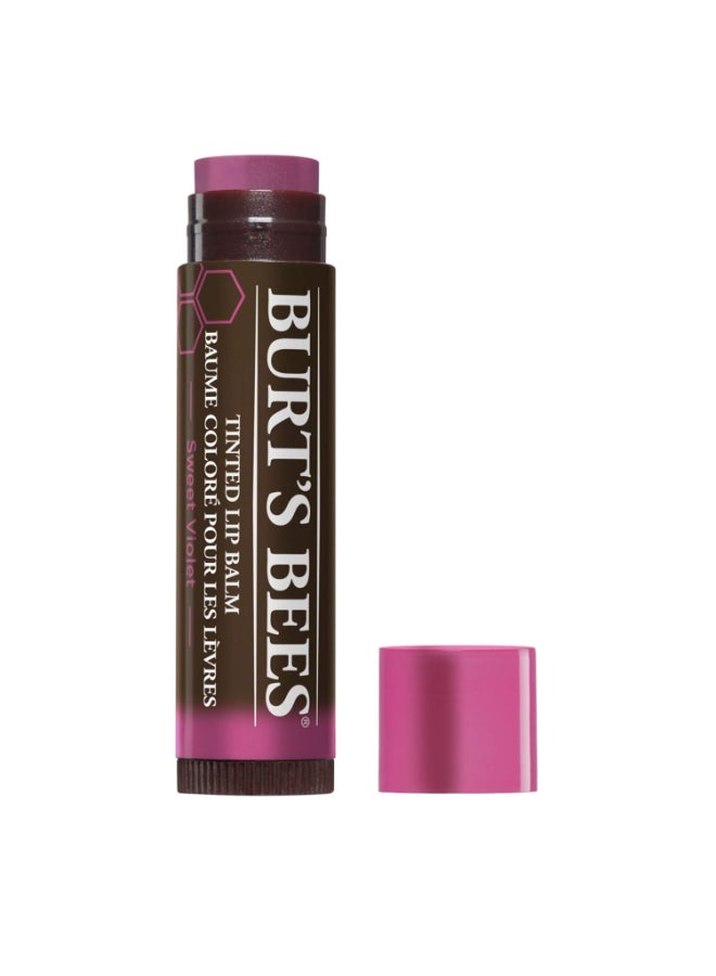 Burt's Bees Burts Bees 100 Natural Tinted Lip Balm Sweet Violet with Shea Butter Botanical Waxes 1 Tube - Image 3