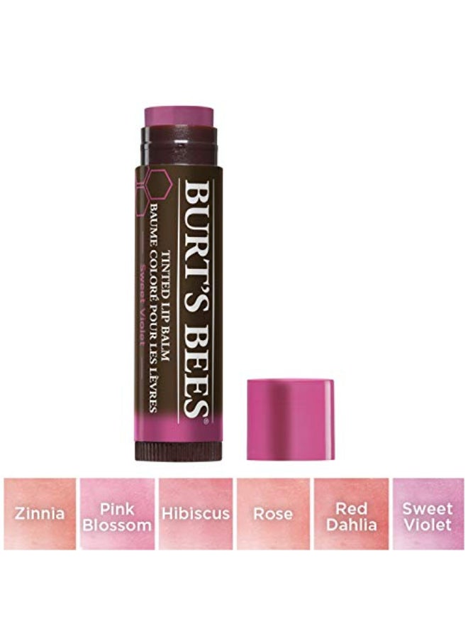 Burt's Bees Burts Bees 100 Natural Tinted Lip Balm Sweet Violet with Shea Butter Botanical Waxes 1 Tube - Image 4