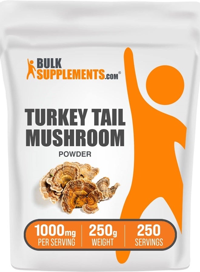 BULKSUPPLEMENTS.COM Turkey Tail Mushroom Extract Powder - Turkey Tail Mushroom Powder - Coriolus Versicolor Extract - Turkey Tail Supplement - 1000mg per Serving (250 Grams - 8.8 oz) - Image 1