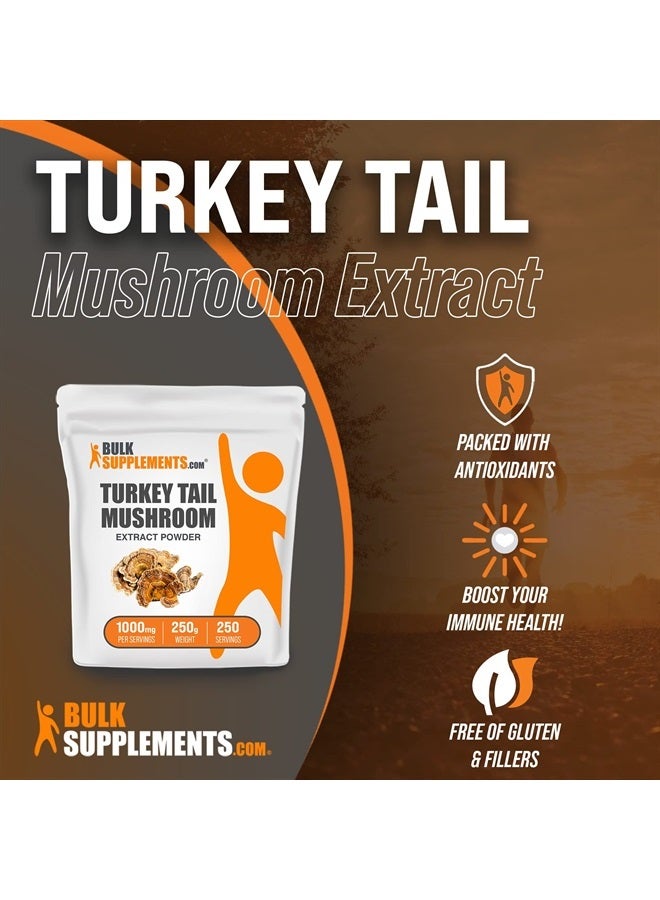 BULKSUPPLEMENTS.COM Turkey Tail Mushroom Extract Powder - Turkey Tail Mushroom Powder - Coriolus Versicolor Extract - Turkey Tail Supplement - 1000mg per Serving (250 Grams - 8.8 oz) - Image 3