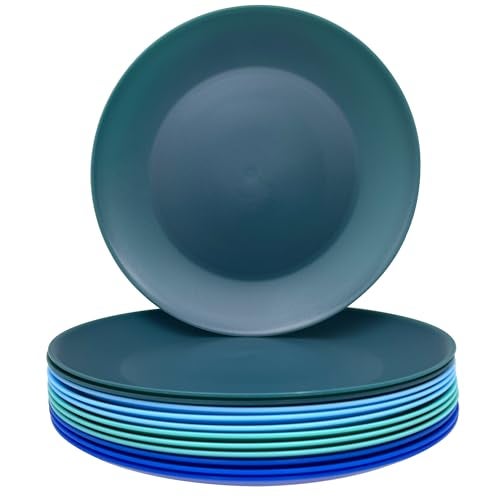 AOYITE Plastic Plates Reusable 10 inch, Unbreakable Dinner Plates set of 12, BPA Free Microwave & Dishwasher Safe Party Plate for Any Occasion, BBQ, Travel, Events (Coastal) - Image 1