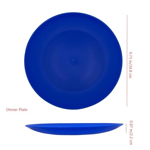 AOYITE Plastic Plates Reusable 10 inch, Unbreakable Dinner Plates set of 12, BPA Free Microwave & Dishwasher Safe Party Plate for Any Occasion, BBQ, Travel, Events (Coastal) - Image 3