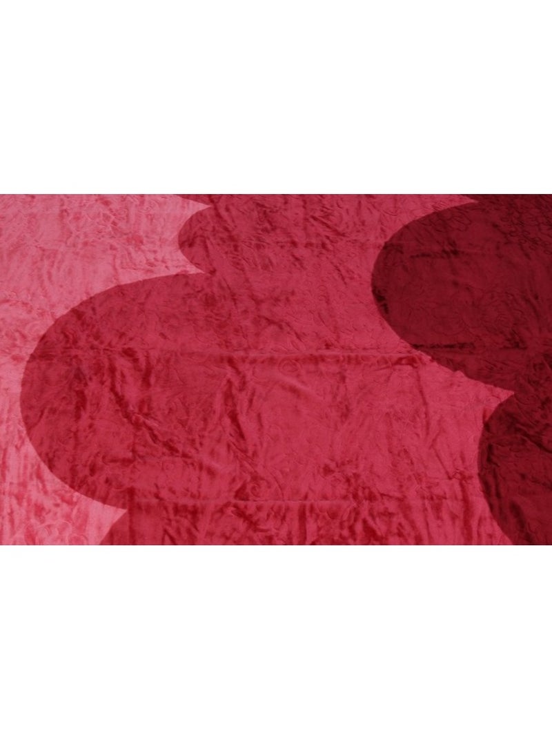 لانتيك بطانية شتوية 1.800 كيلو مصري 200*220 سم نبيتي - Image 2