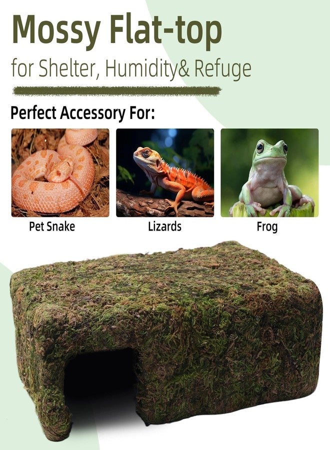 Hollima Mossy Cave Hide for Reptiles, Yellow Color Lizard Moss Hideout with Safe Shelter, Snake Cave Hut for Themed Terrarium Ideal for Gecko Hamster Snake to Rest & Hide - Image 5